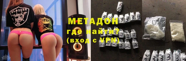 прущие грибы Балабаново