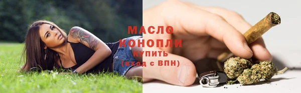 прущие грибы Балабаново