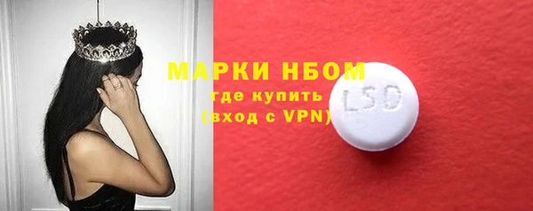 прущие грибы Балабаново