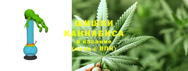 прущие грибы Балабаново