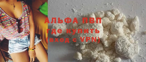 прущие грибы Балабаново
