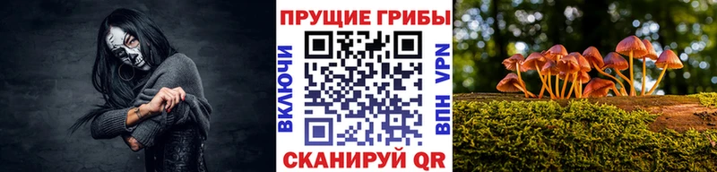 Галлюциногенные грибы мухоморы  что такое наркотик  гидра tor  Рудня 